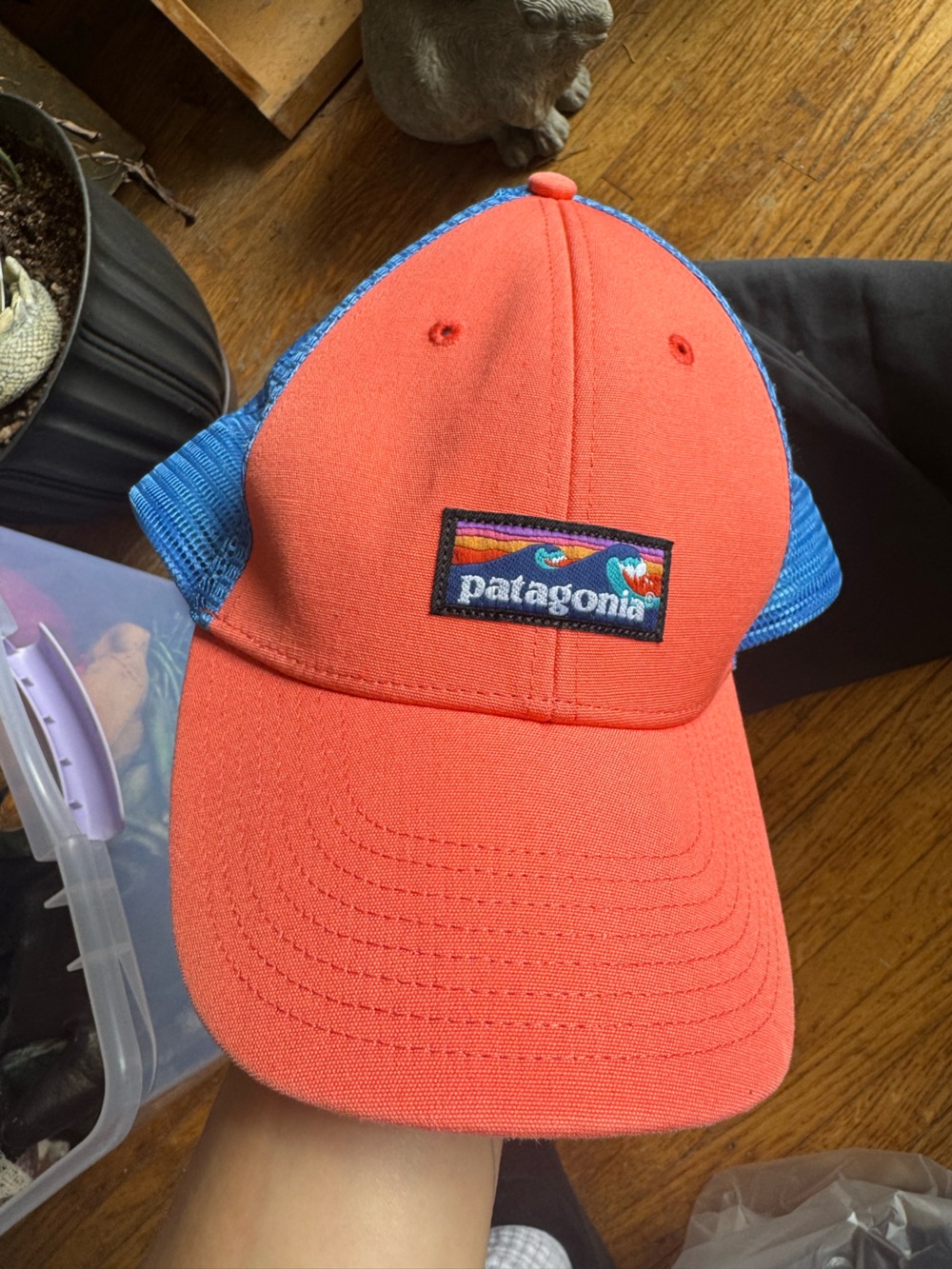 Patagonia Trucker Hat